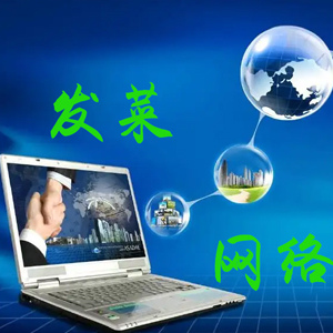 什么是GOOGLE ADS？